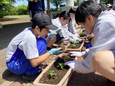 体験学習イメージ